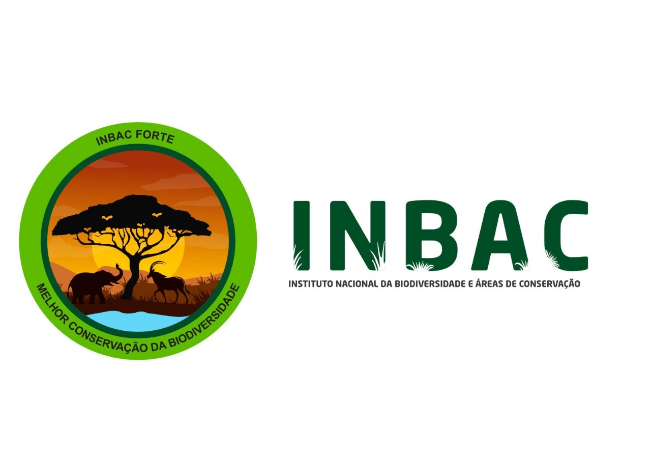 imbac